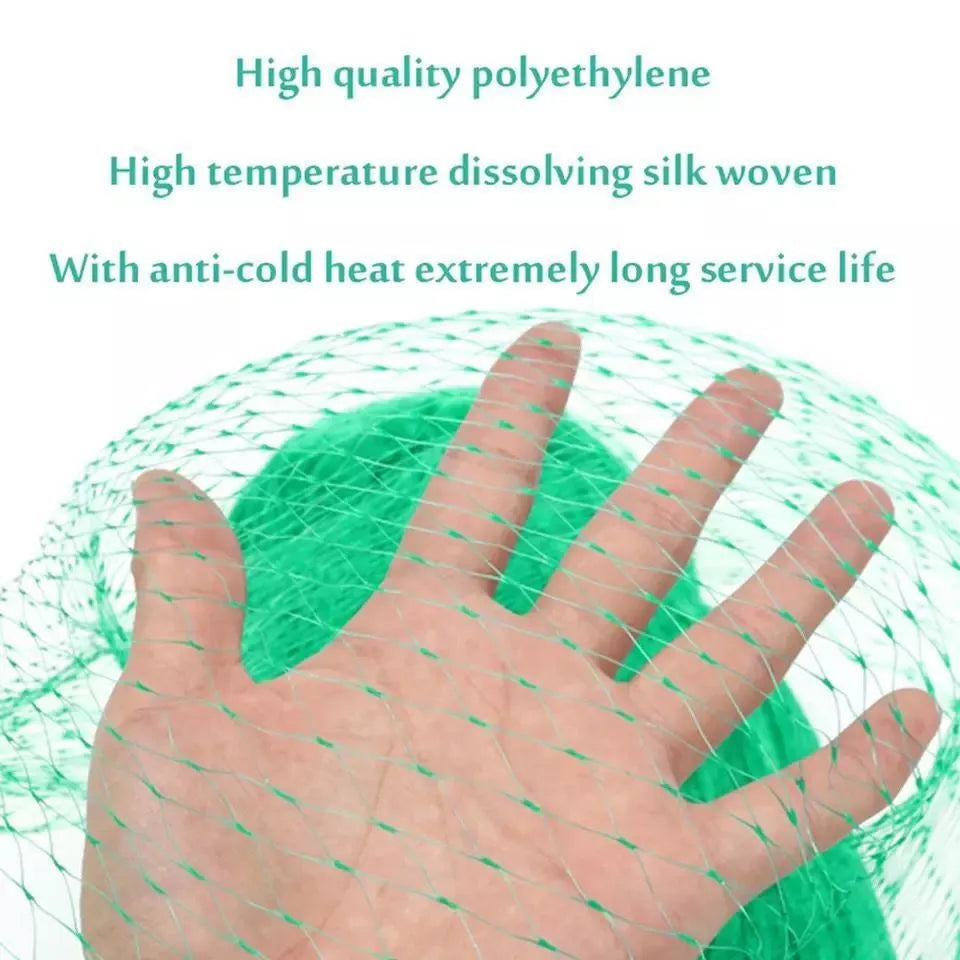 Green PP anti-bird netting draped over garden plants for fruit and vegetable protection