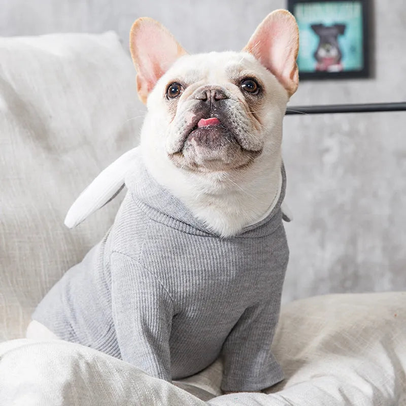 Dog sweater in light grey or pink, spring and autumn pet clothing, sizes S to 3XL with bust and back length measurements