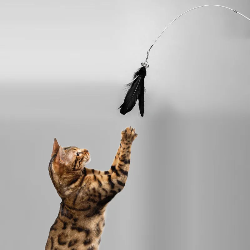 Telescopic cat fishing rod toy extended to 80cm with removable goose feather attachment and integrated bell