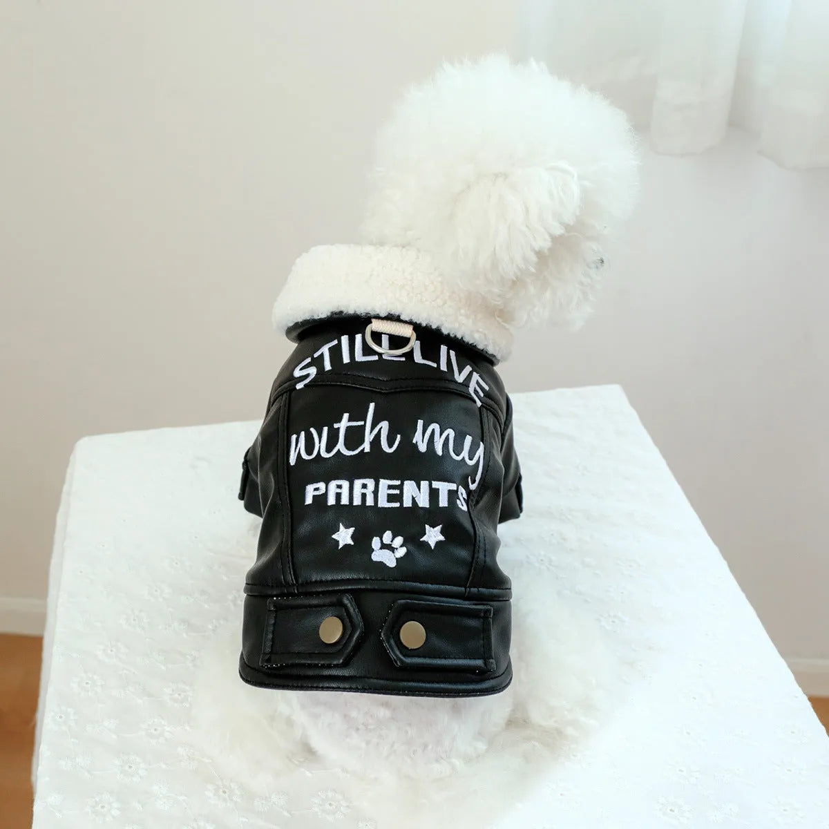 Fleece lined padded dog coat for small to large dogs in beige, black, and suede leather colour options.