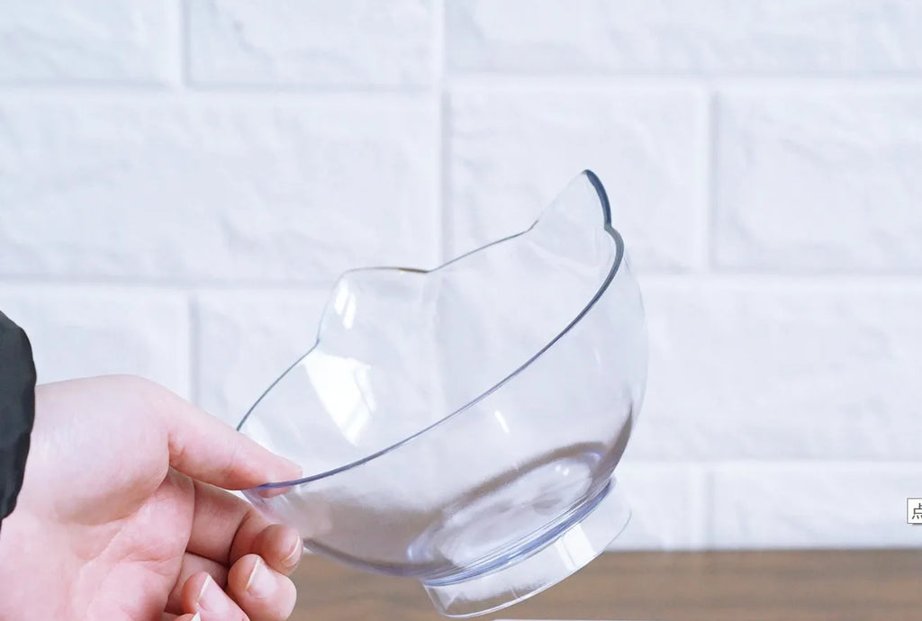 Inclined transparent single cat bowl with 13cm diameter PC plastic mouth and beige ABS plastic base