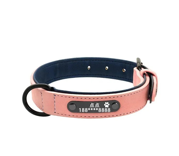 Custom dog tag identity card collar with microfiber leather surface, double D buckle, and painted alloy lock in multiple colours