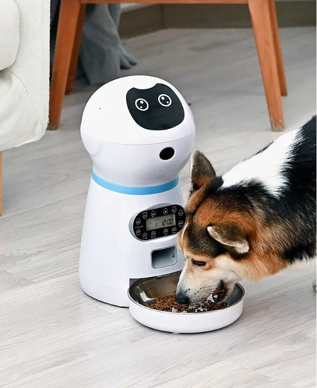 White automatic pet feeder with removable grain barrel, metal food tray, and 4-meal daily scheduling for 5mm-12mm dry food.