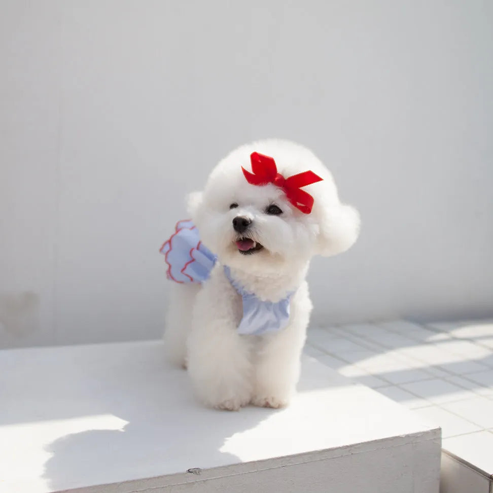 Summer thin polyester pet princess dress with cartoon print in suspender skirt style
