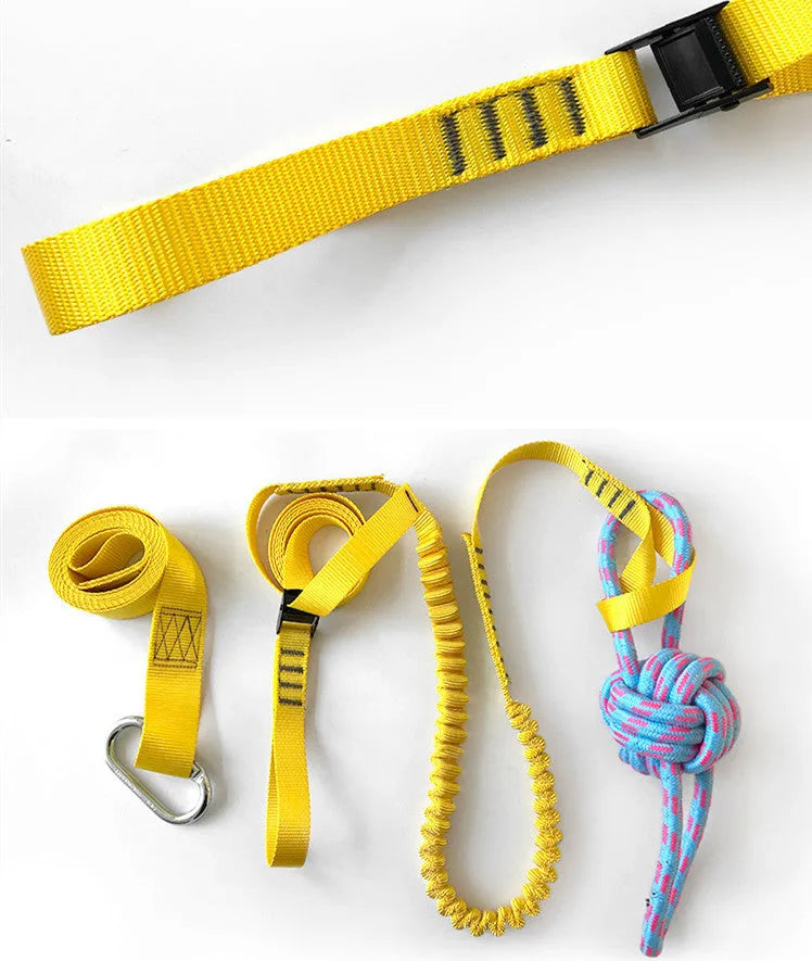 Black and yellow polyester dog training belt set for obedience sessions