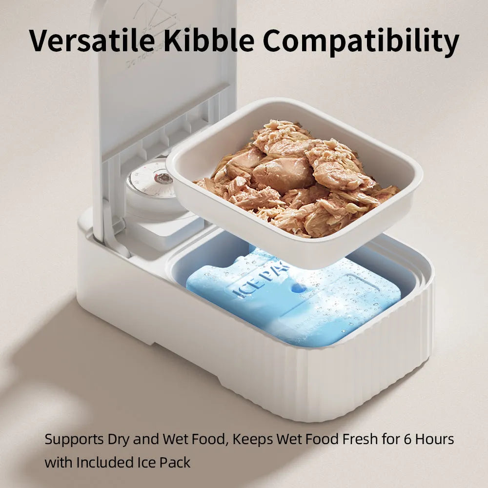 White pet single meal feeder with visual timer and ice crystal cooling box
