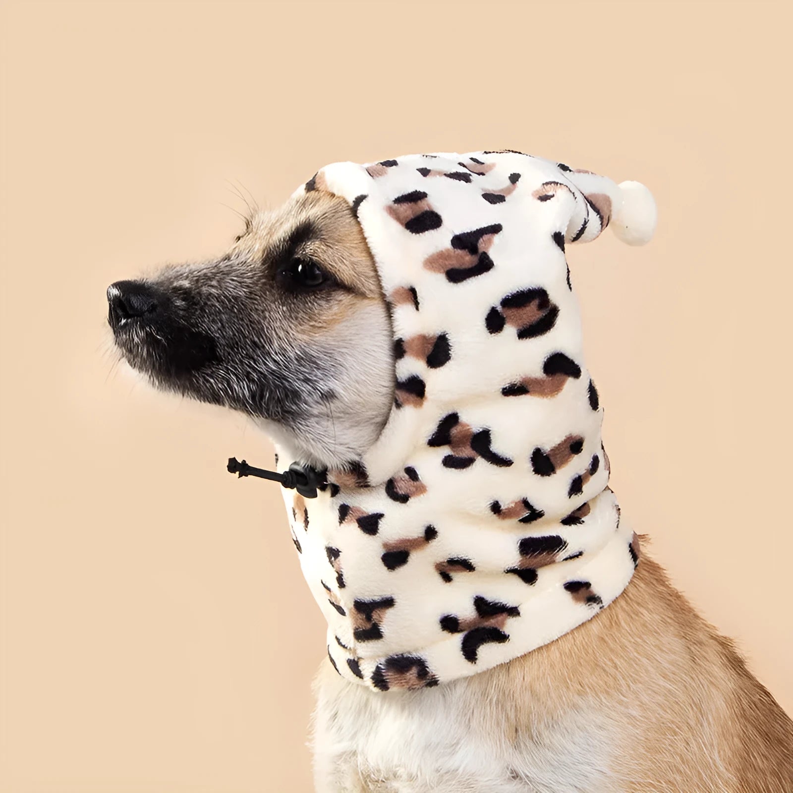 Bear themed cloth pet headdress with rabbit ears on a dog, available in leopard, black, and red.