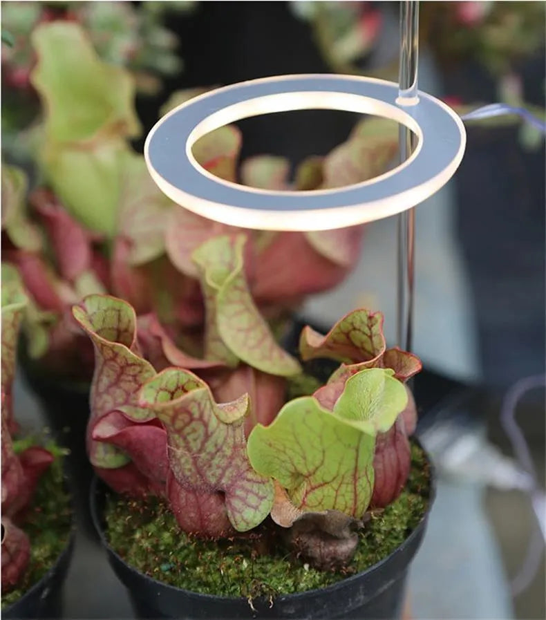 USB LED full spectrum grow light for indoor plants with acrylic stick