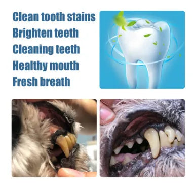Pet teeth whitening pen set with applicator and dental brushes for dog and cat tartar removal