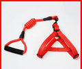 Adjustable dog leash and cat chest strap set with collar, Strengthen or Reflective variant, in multiple sizes and colours