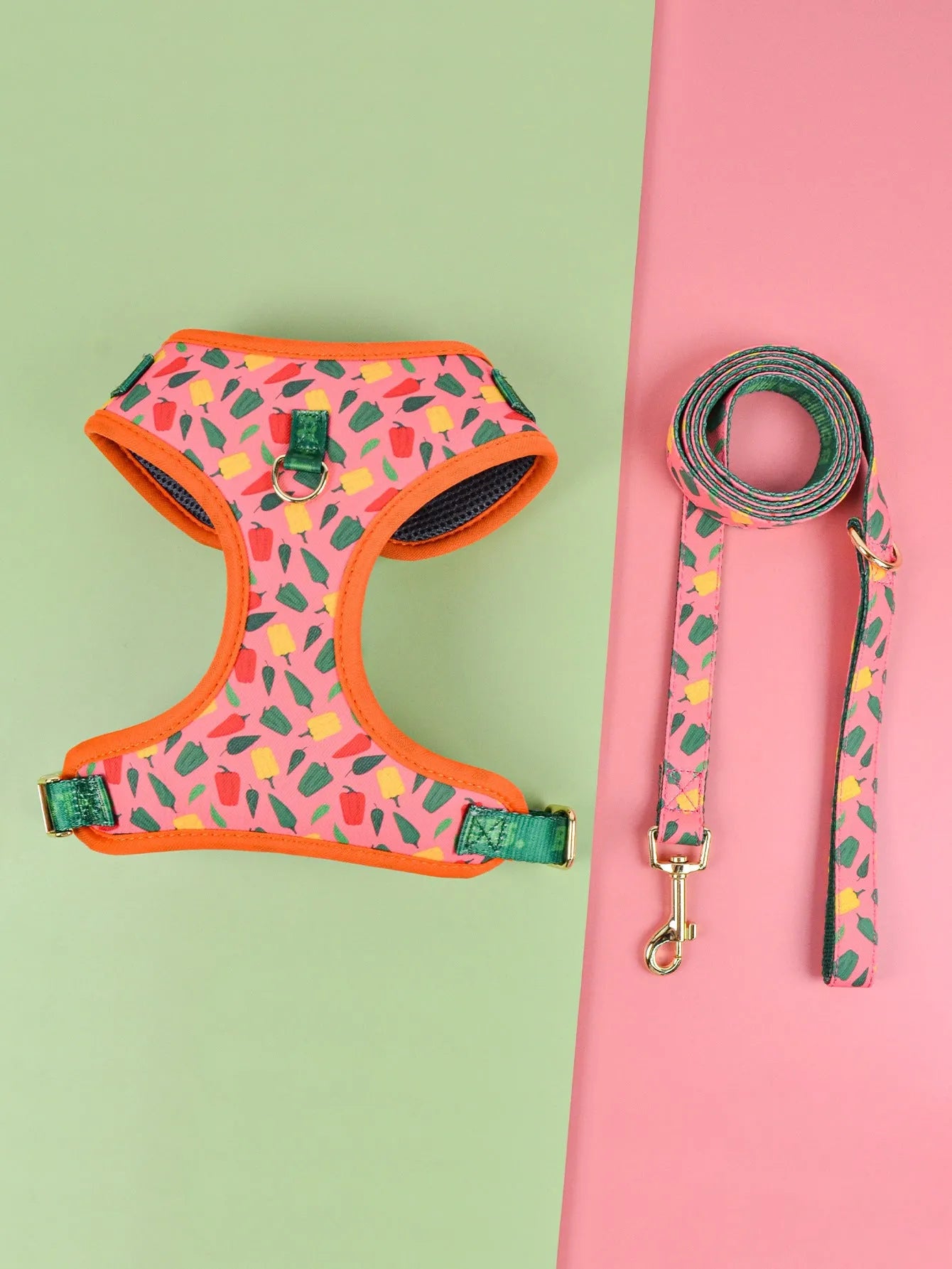 Summer colours dog harness and leash set for medium large dogs chest-back design