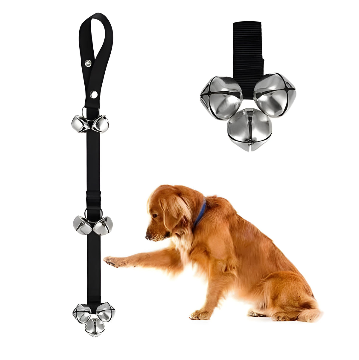 Dog doorbell with adjustable rope in black, red and blue colours for training and housebreaking