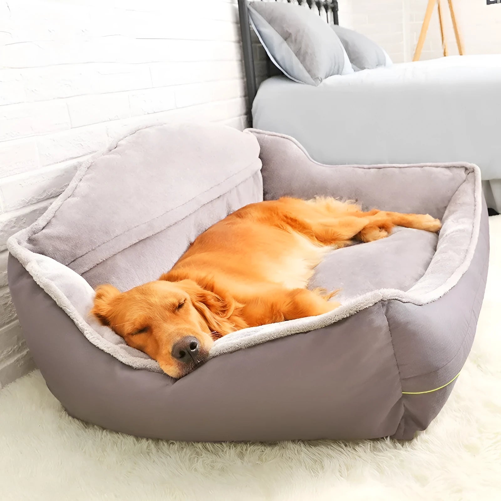 Grey polyester dog sofa bed with raised sides in XL size 120x90xH43cm on floor
