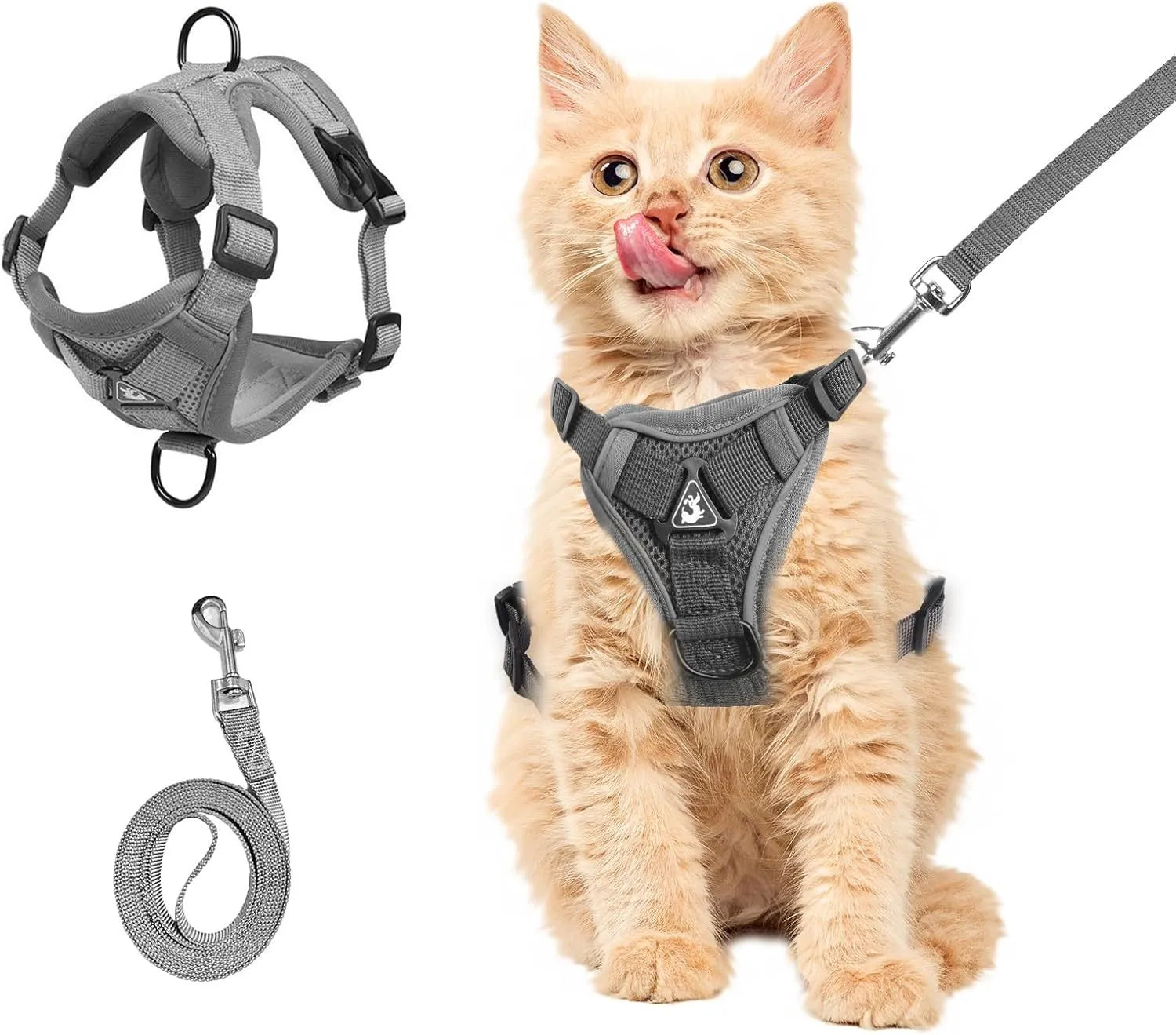 Blue adjustable mesh cat chest harness with leash and reflective strips