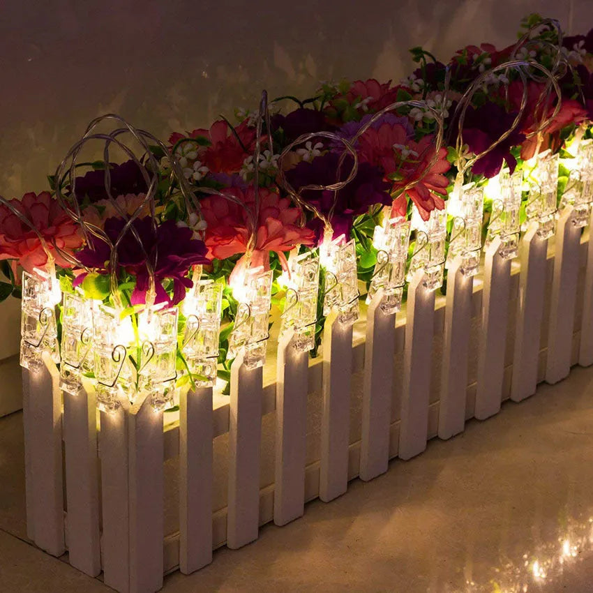 LED photo holder string lights with warm white bulbs and photo clips on a window display