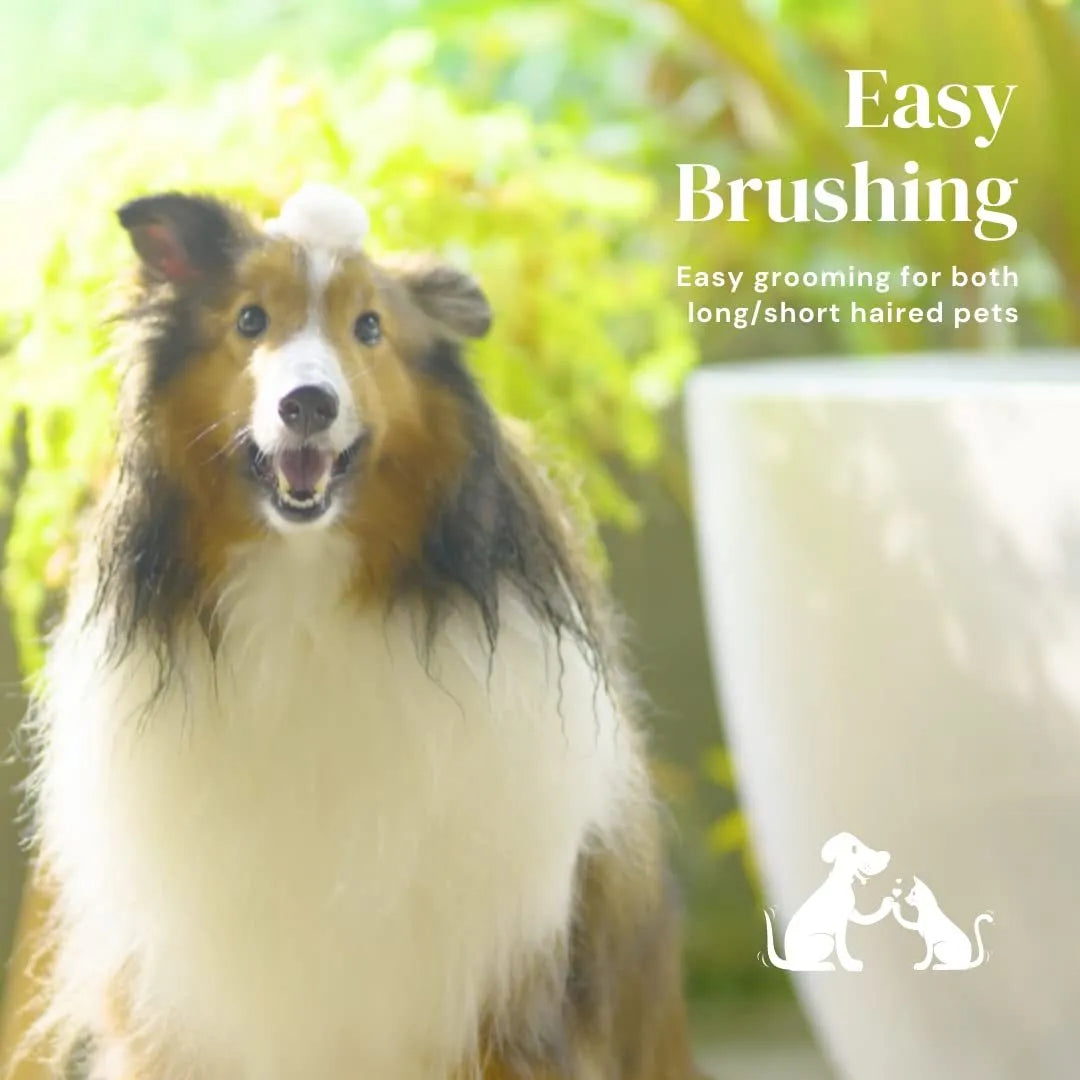 Blue self-cleaning slicker brush for dog and cat grooming with non-slip handle