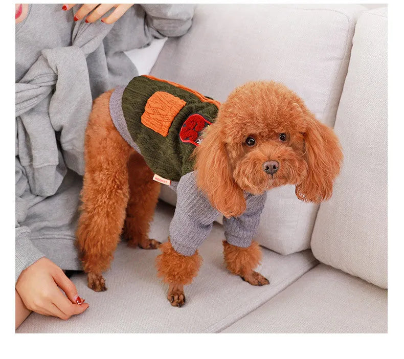 Blue cotton dog sweater on a small dog, knit texture, side view, warm pet clothing