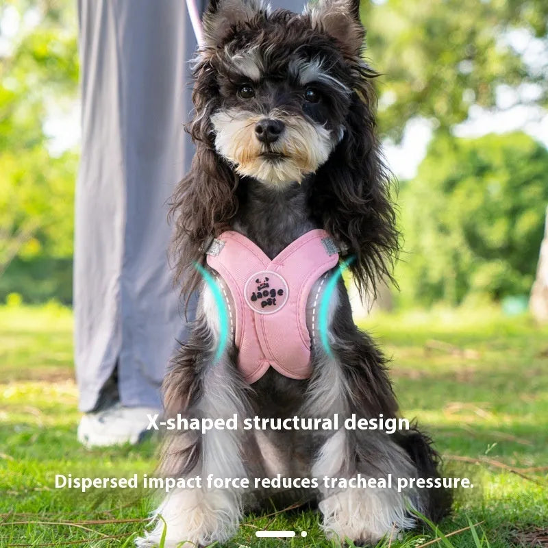 Blue dog vest with an integrated hand-holding rope leash, shown on a medium-sized dog.