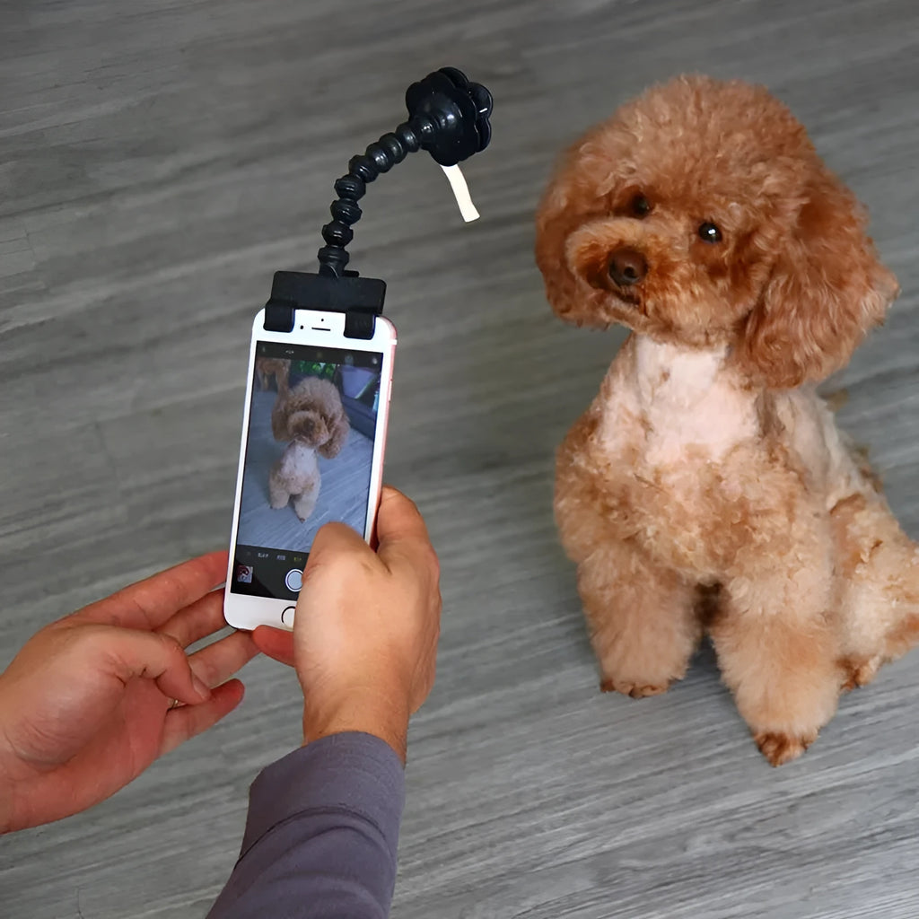 Black pet selfie stick with square and flower clips extended to 14.6cm for pet photography