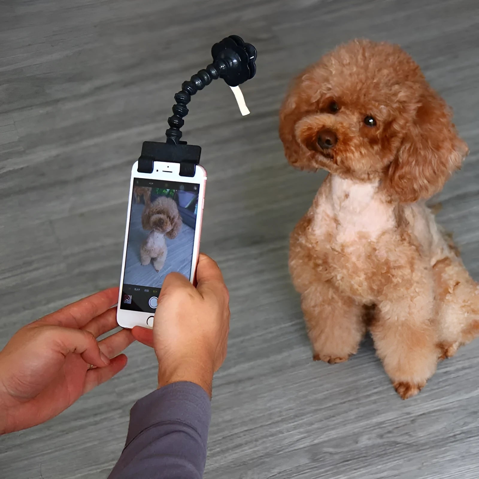 Black pet selfie stick with square and flower clips extended to 14.6cm for pet photography