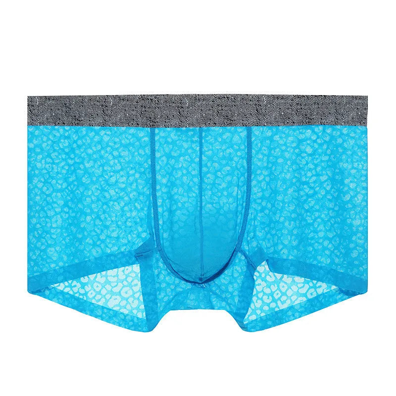 Men's lace boxer briefs in seven colours with seamless construction and low waist design
