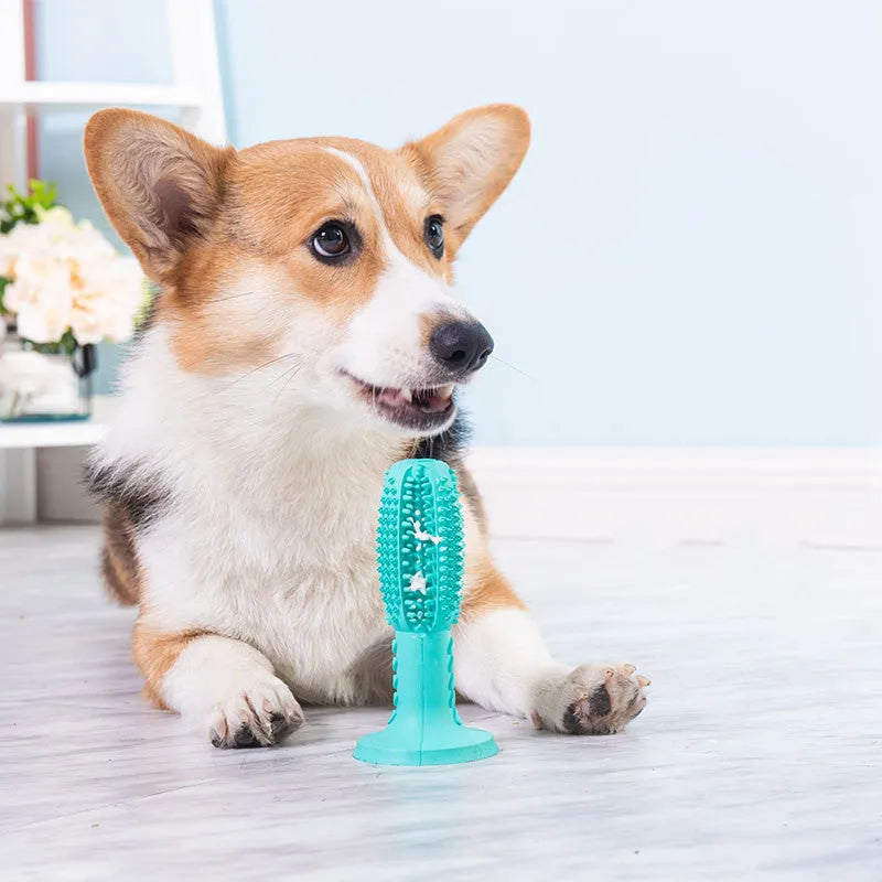 New dog molar cleaning stick in blue and green rubber with leaking food device 165g