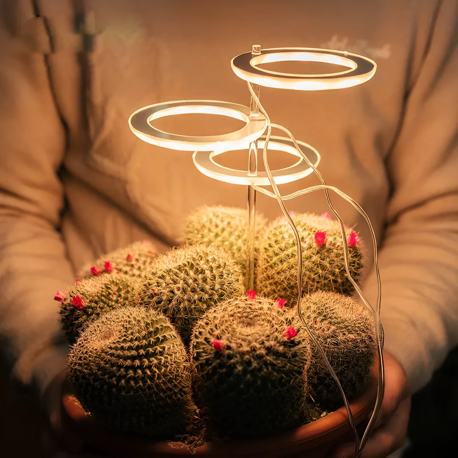 USB LED full spectrum grow light for indoor plants with acrylic stick