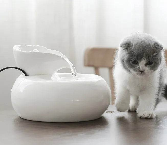 White ceramic automatic cat water dispenser with leaf design and US plug on a wooden floor