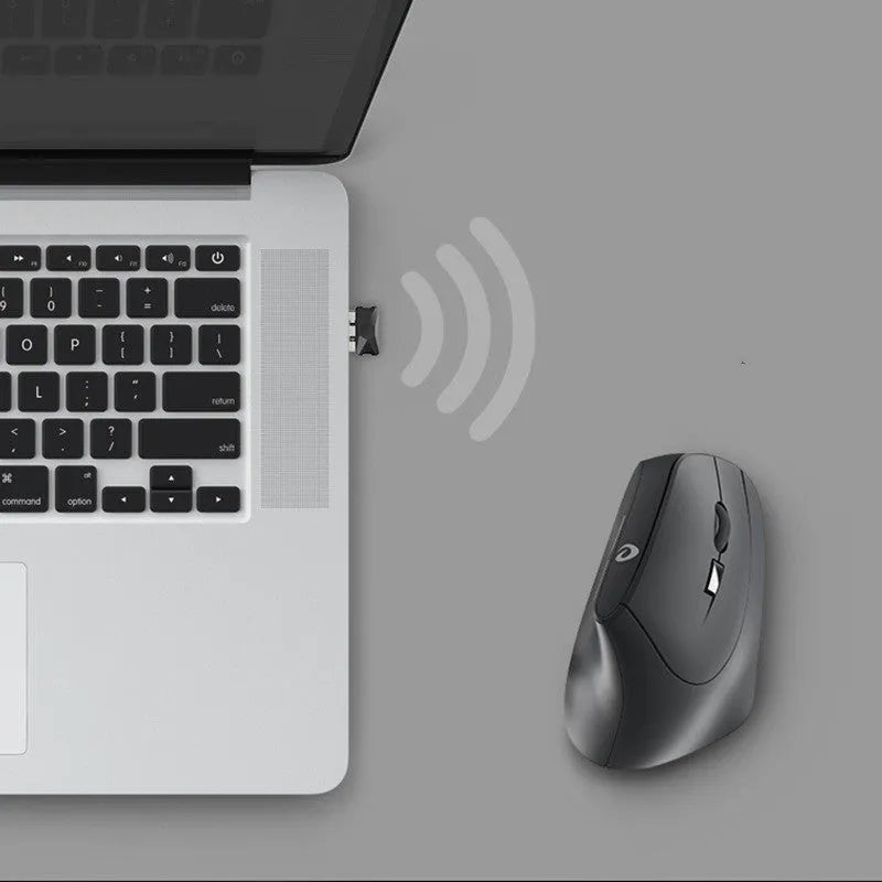 Vertical Vertical 2.4G wireless ergonomic mouse in black with vertical shape and USB receiver