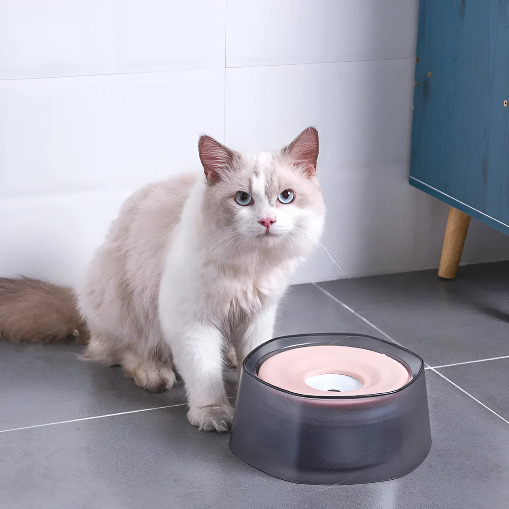 Hexagon pet buoyancy drinking bowl in blue, splash-proof floating plate design for cats and small dogs, 21.5 cm
