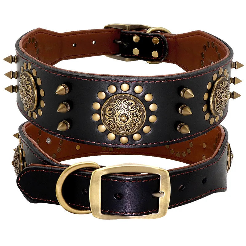 Brown real leather stud dog collar with metal anti-bite spikes fitted on a large pitbull dog
