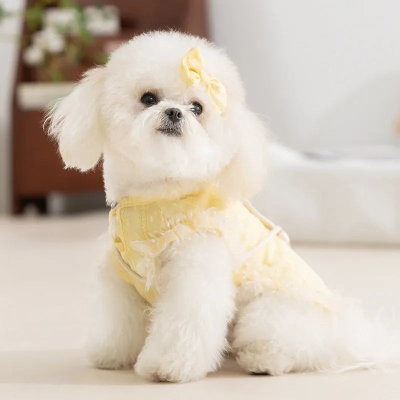 Two-tone blue sleeveless pet outfit with ruffles, matching bow, and small woven crossbody bag on a small dog