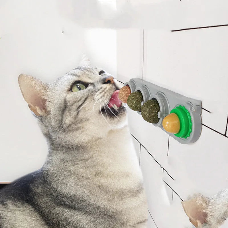 Licking Le Spinning Catnip Ball in random colour on floor next to a cat