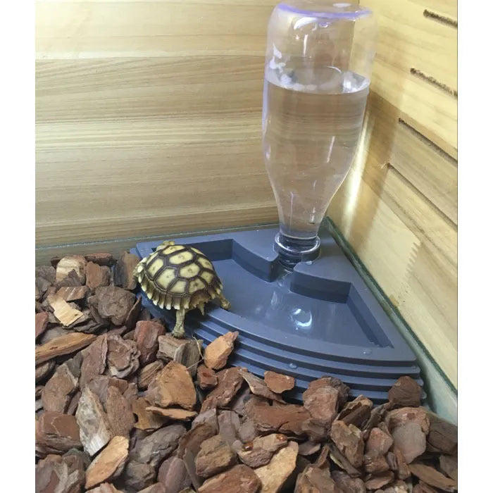 Reptile automatic drinking fountain in fan shape made from food grade ABS, black colour option