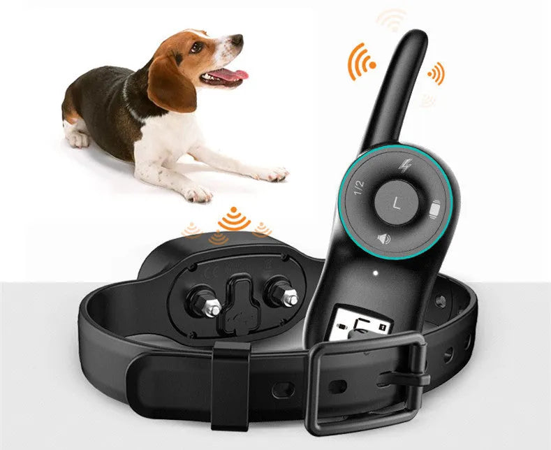 Black rechargeable remote dog training collar with waterproof receiver unit and handheld transmitter.