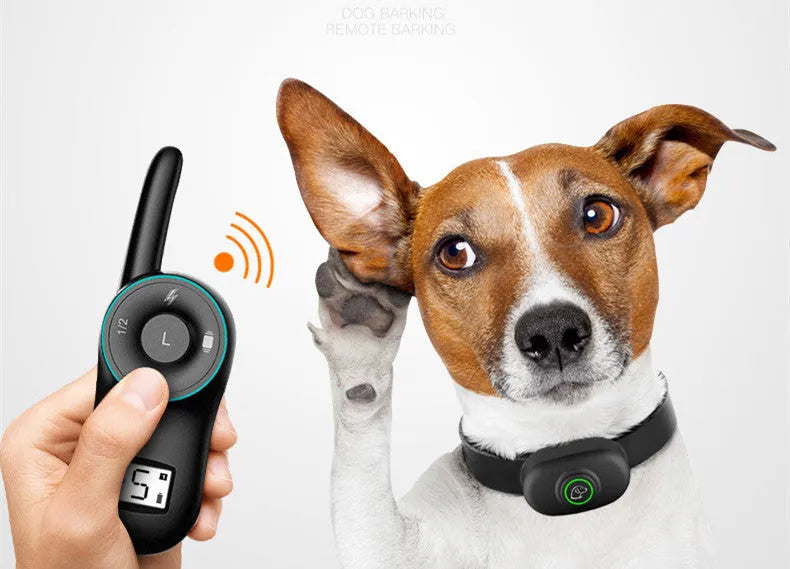 Black rechargeable remote dog training collar with waterproof receiver unit and handheld transmitter.