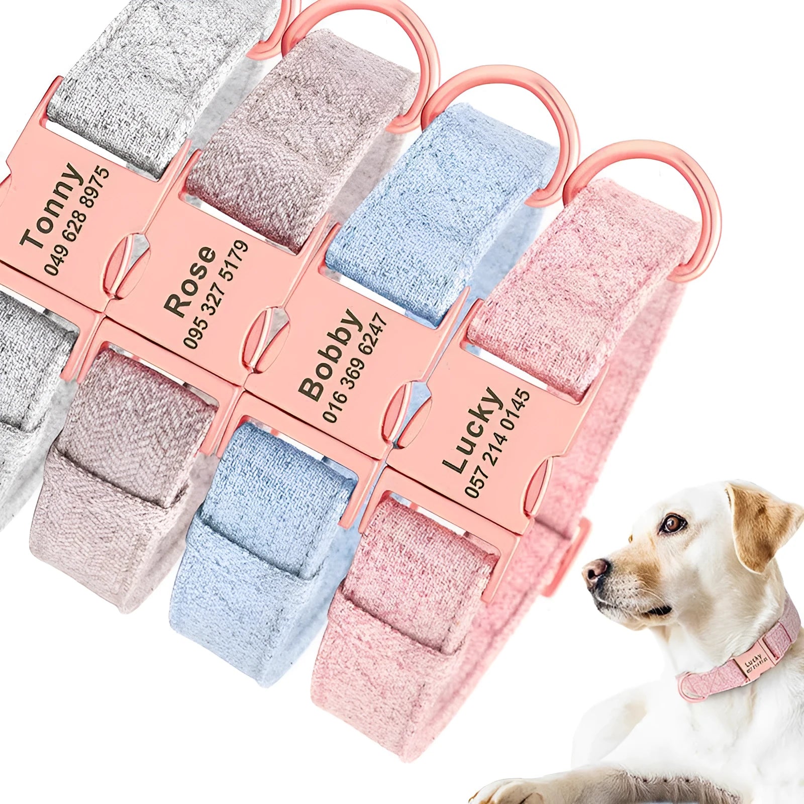 Non-woven fabric dog collar and leash set in blue, grey, light brown, pink for small medium large dogs