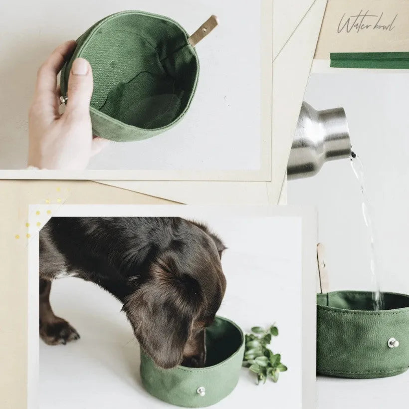 Folding canvas dog bowl in green, grey, and yellow, 15cm diameter, for portable pet feeding