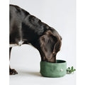 Folding canvas dog bowl in green, grey, and yellow, 15cm diameter, for portable pet feeding