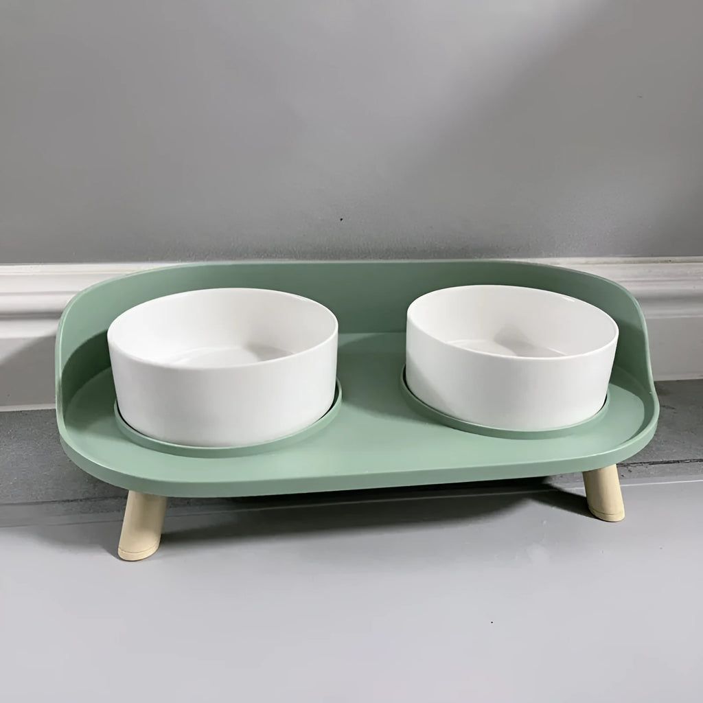 Ceramic cat double bowl in gray-green with raised design for cervical protection, new bone china construction
