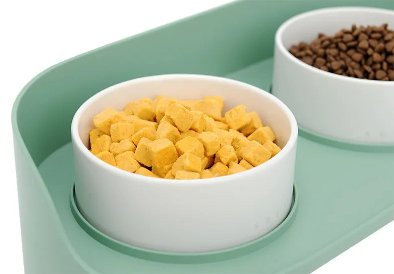 Ceramic cat double bowl in gray-green with raised design for cervical protection, new bone china construction