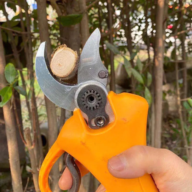 Handheld electric pruning shears for fruit tree branches with lithium battery pack