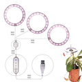 USB-powered full spectrum LED grow light angel ring phytolamp for indoor plants