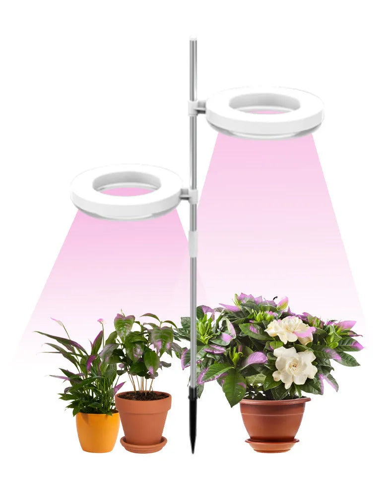 A desk plant growth light with a PC shell in full spectrum colour, showing single and double-head design options.