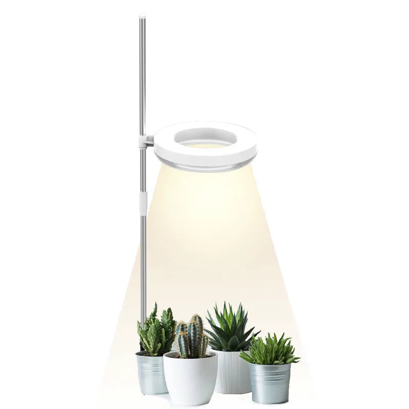 A desk plant growth light with a PC shell in full spectrum colour, showing single and double-head design options.