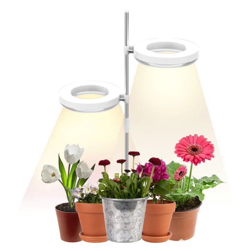 A desk plant growth light with a PC shell in full spectrum colour, showing single and double-head design options.