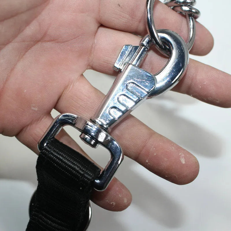 Black PP reflective dog training traction rope for large dogs on a plain background