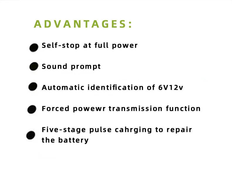 BT 168 12V 24V automobile battery charger with American plug for lead acid batteries