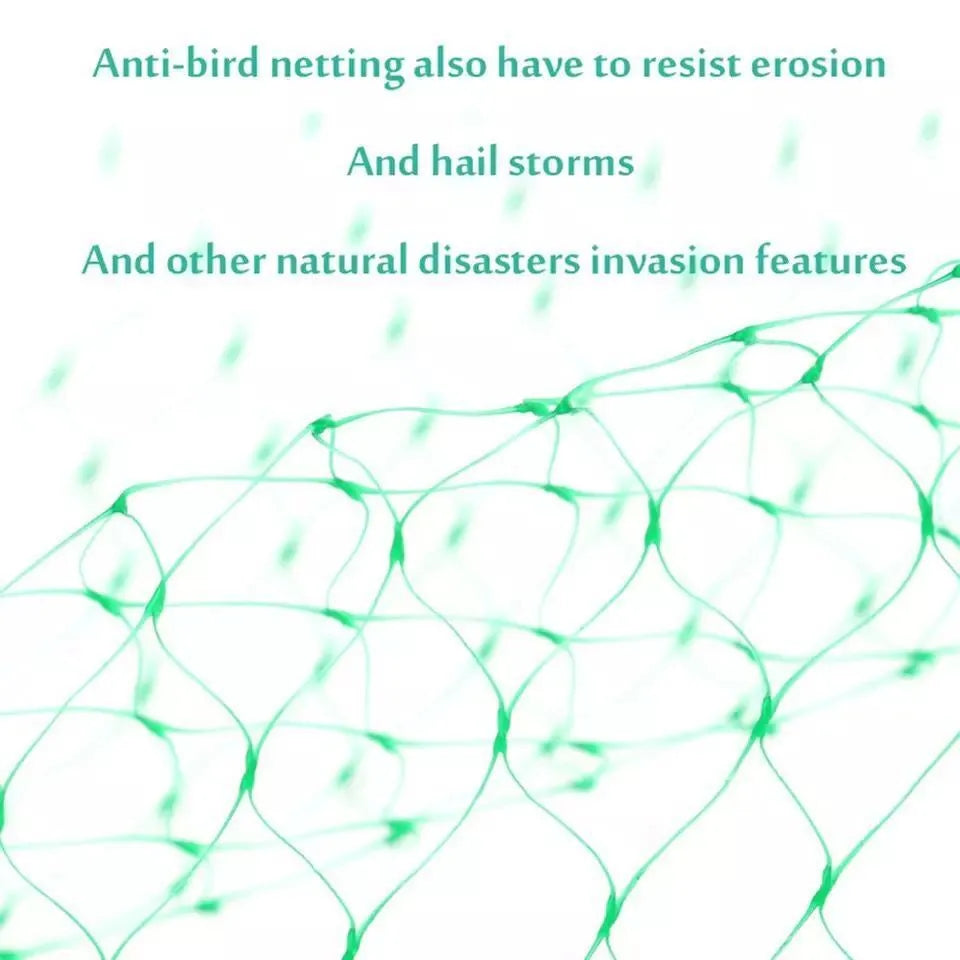 Green PP anti-bird netting draped over garden plants for fruit and vegetable protection