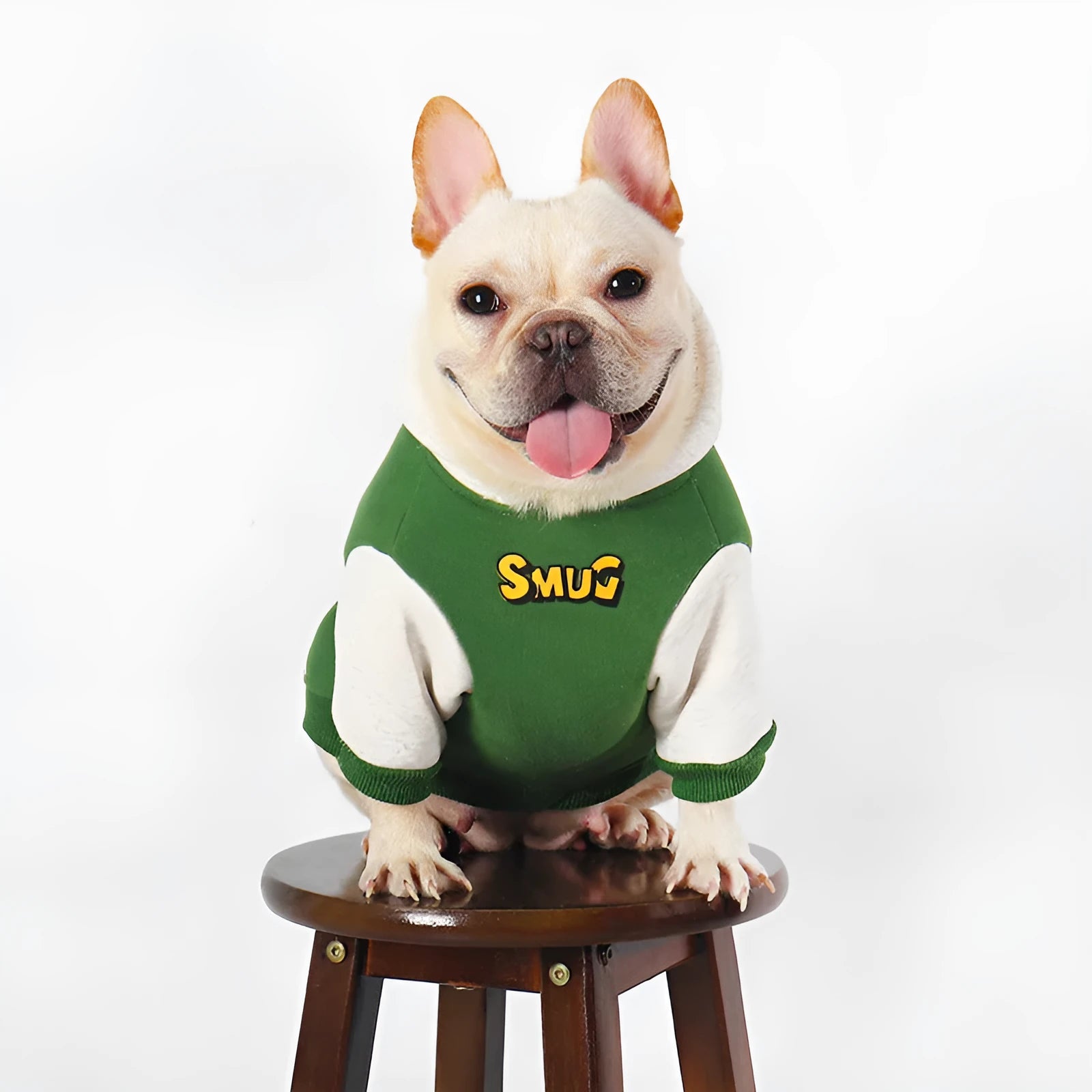 Green cotton dog clothing for autumn and winter in sizes L to 4XL